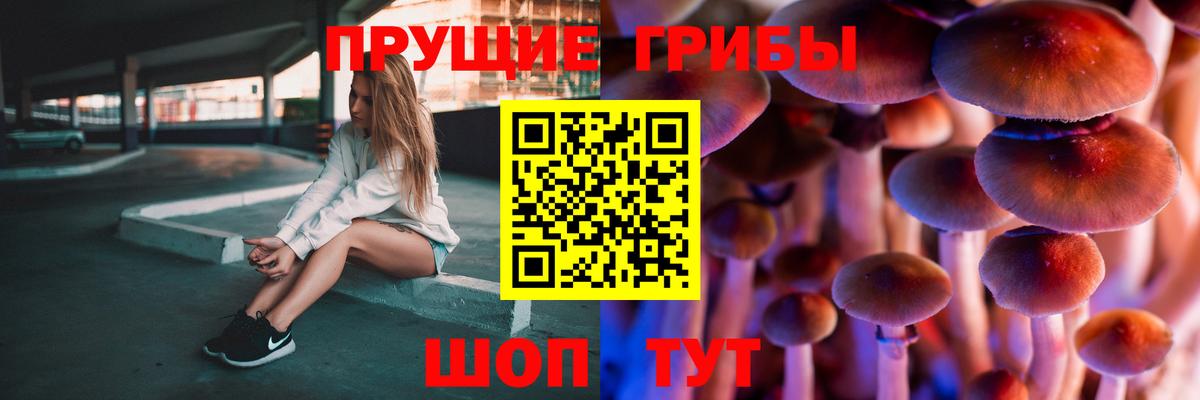 Галлюциногенные грибы ЛСД Рузаевка